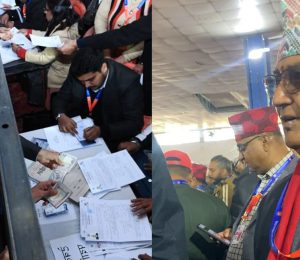 1765794267_OLI_POK-1200x560