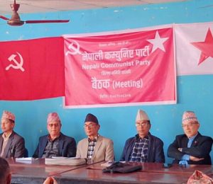 4e3811ba-dd1f-4b2b-af56-aae69e626492-696x392