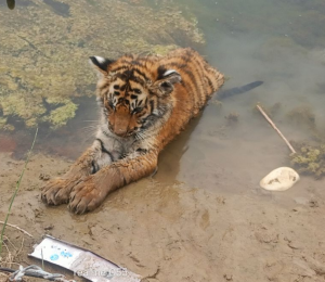 bag2026-01-01-09-20-10