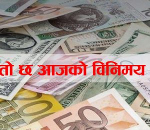 binimaya dar 1675384720