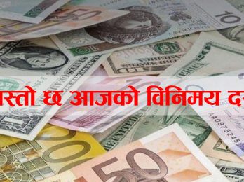 binimaya dar 1675384720