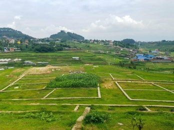 jagga-1536x951-1-1715427074